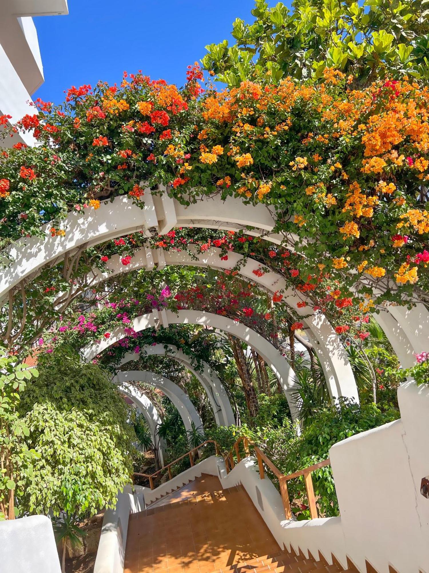 Tenerife Paradise Anna Studio Costa Adeje  ภายนอก รูปภาพ